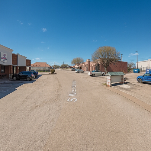 Happy woman holding purple flowers
